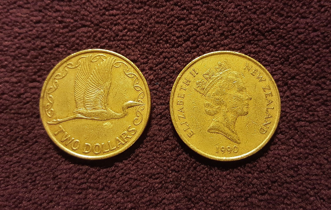 31.1-moneda nueva zelanda