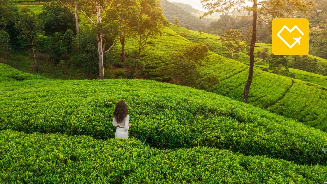 169.2 qué hacer en sri lanka