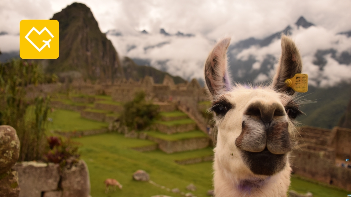 188.1 seguro de viaje para peru