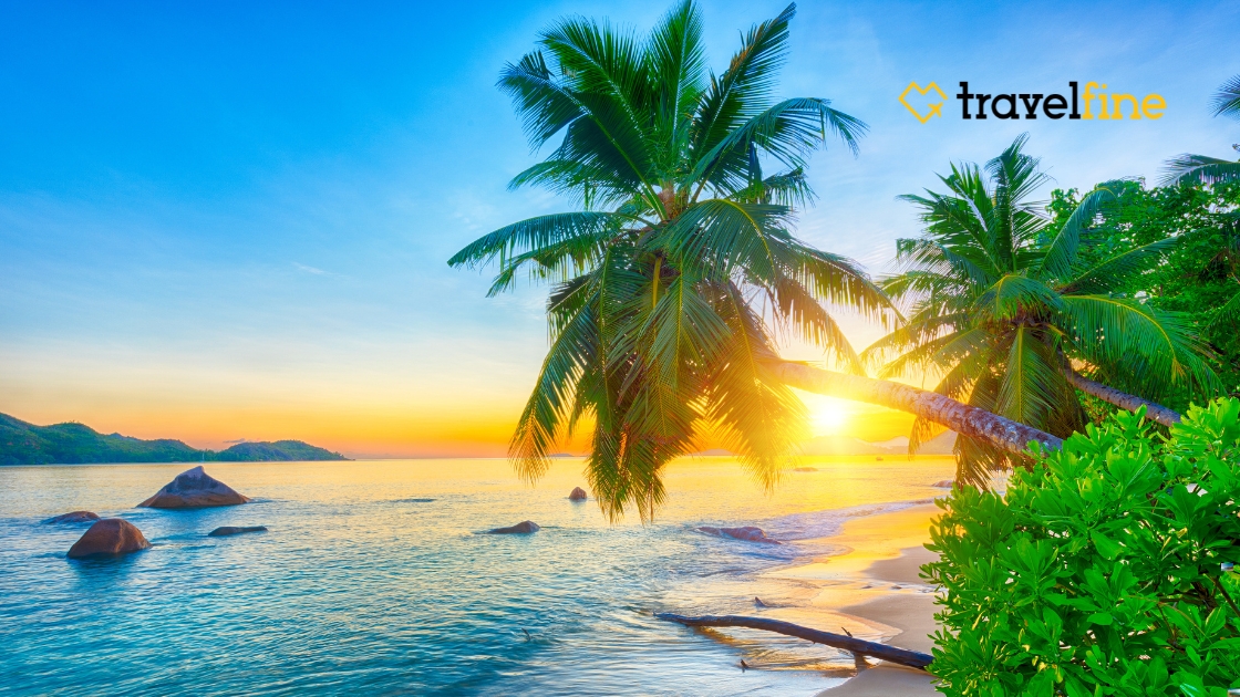 239.2 que hacer en seychelles