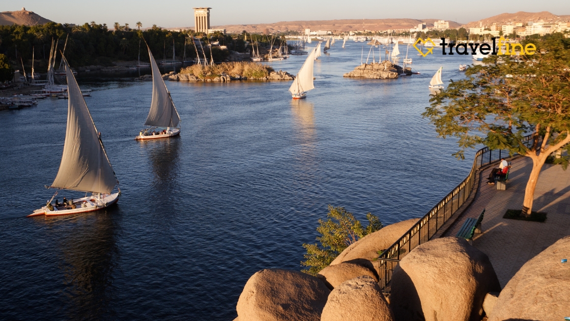 245.1 que ver en egipto