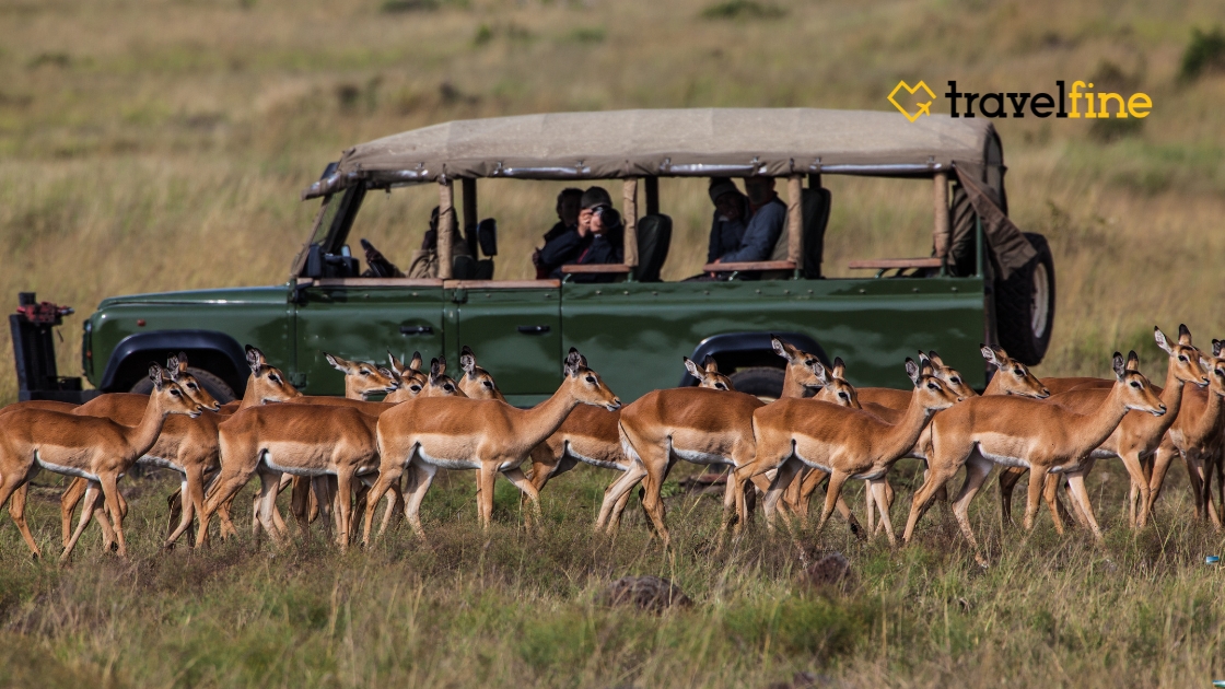 246.2 seguro de viaje africa